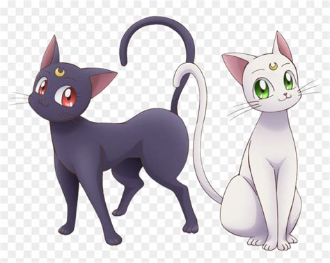 sailor moon cat png 10 free Cliparts | Download images on Clipground 2024