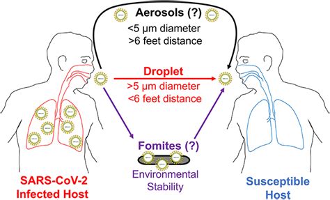 Biola University Professors’ Research Sheds Light on COVID-19 Modes of ...