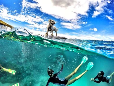 31 Stunning Half Underwater Photos (and 6 GoPro tips for shooting your ...