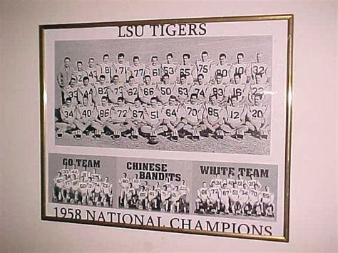 1958 LSU Tigers Logo Framed Picture National by IslandSales, $199.00 | Lsu tigers logo, Lsu ...