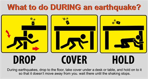 Staying Level: Earthquake Preparedness and Safety