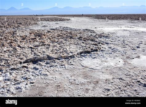 Salt flats lake in Atacama desert Chile Stock Photo - Alamy