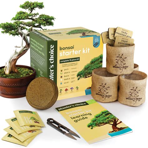 Buy Bonsai Starter Kit - The Complete Growing Kit to Easily Grow 4 Bonsai Trees from Seed ...