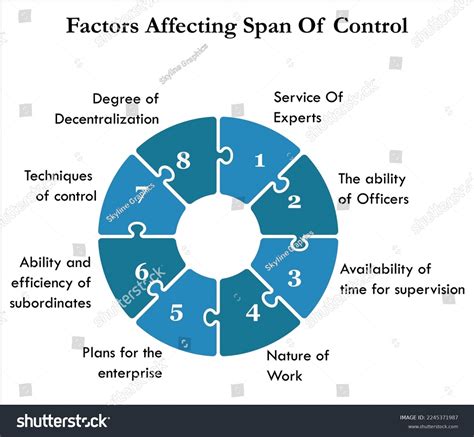 Eight Factors Affecting Span Control Infographic Stock Vector (Royalty Free) 2245371987 ...