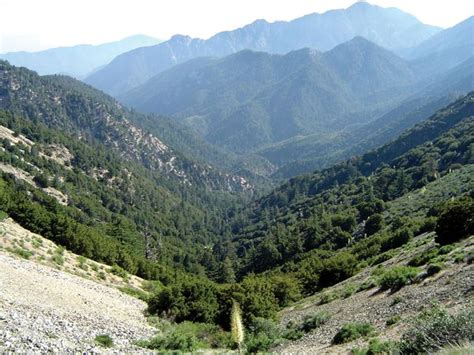 Angeles National Forest | forest, California, United States ...