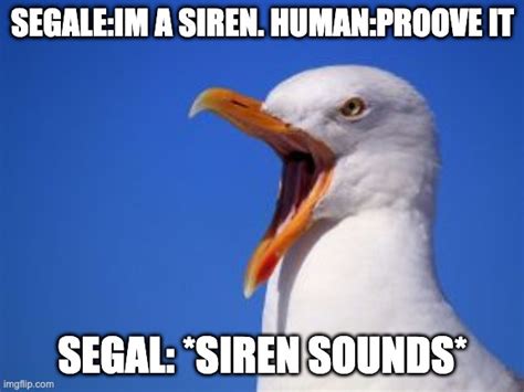 Seagle siren meme - Imgflip