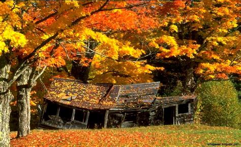 Autumn Farm Scene Wallpapers - Wallpaper Cave