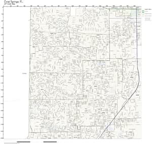 ZIP Code Wall Map of Coral Springs, FL ZIP Code Map Laminated : Amazon ...