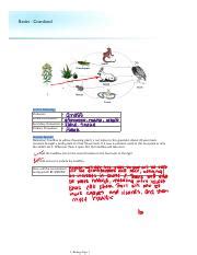 Basics - Grassland.pdf - Basics - Grassland List the following: Producers: • Primary Consumers ...