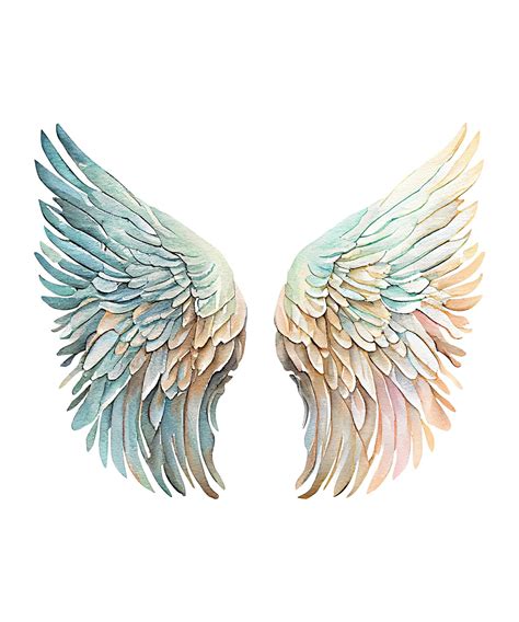 Premium Photo | Angel wings on a white background.