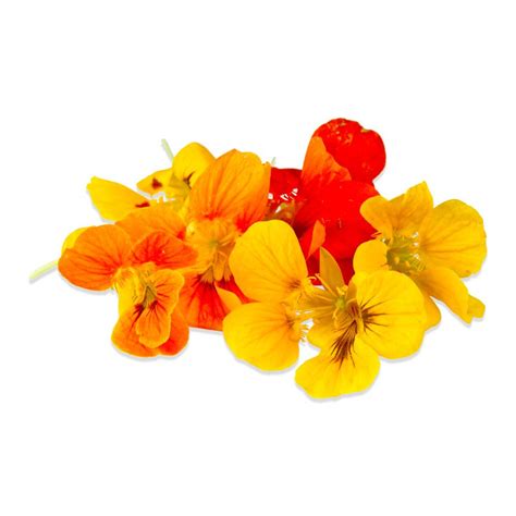 Edible Nasturtium Flowers & Edible Nasturtium Leaves | Marx Foods