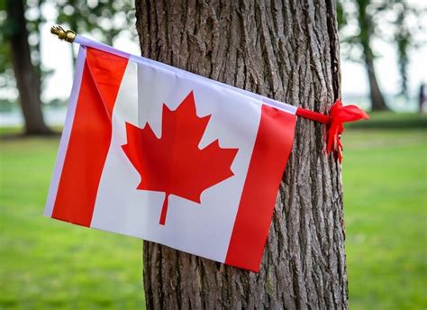 Premium Photo | Canada day celebration with canada flag