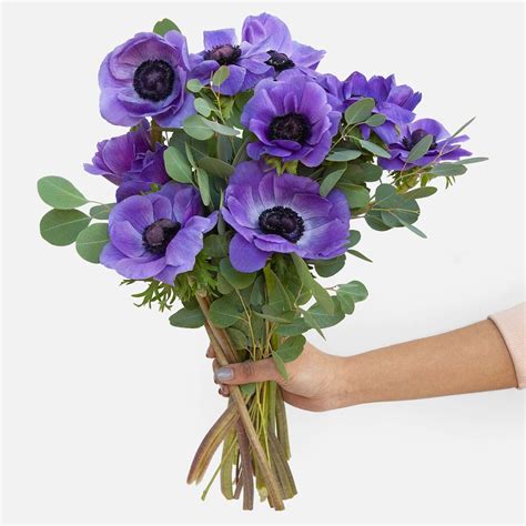 Blue Anemone Bouquet - Flower Delivery NYC - plantshed.com