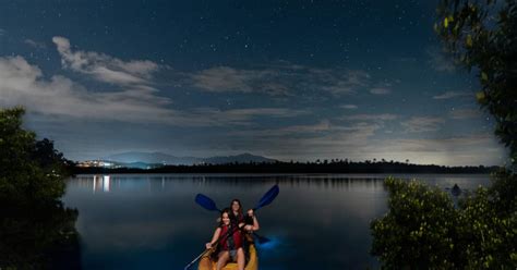 Laguna Grande Bioluminescent Bay | Discover Puerto Rico