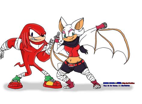 Boom Rouge | Wiki | Sonic the Hedgehog! Amino