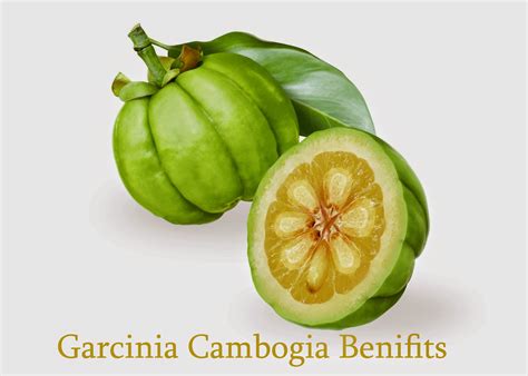 Garcinia Cambogia Benefits