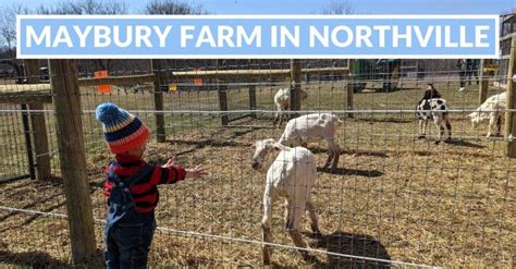 2021 Maybury Farm in Northville - Visitor's Guide | Metro Detroit Mommy