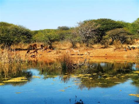 THE 10 BEST Things to Do in Polokwane - 2024 (with Photos) - Tripadvisor