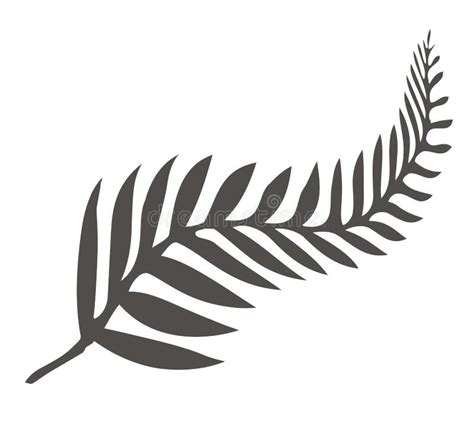 Silver Fern Silhouette Stock Illustrations – 47 Silver Fern Silhouette Stock Illustrations ...