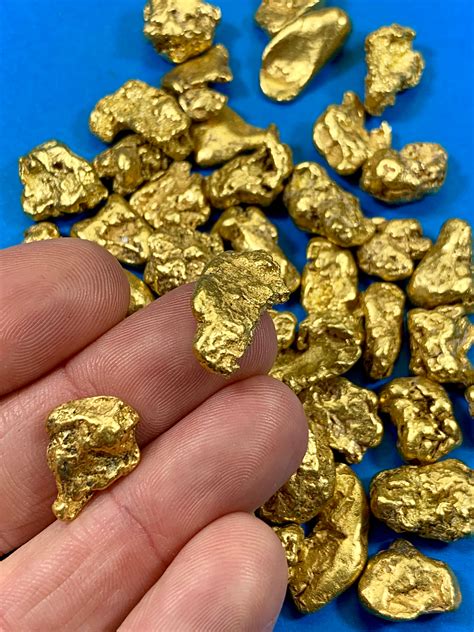 Alaskan BC Natural Gold Nugget 311.00 Gram lot of 5 to 10 gram Nuggets ...