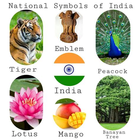 National symbols of india | National symbols, India for kids, National animal