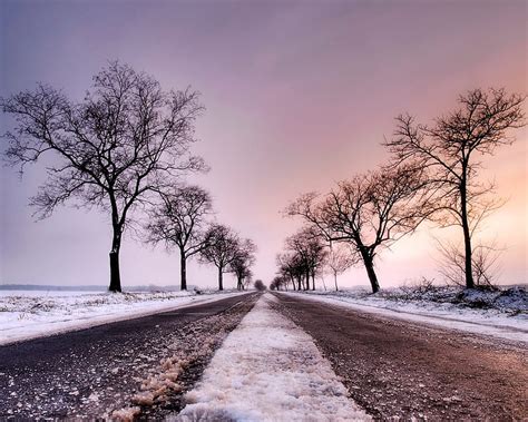 Winter Lines, nature, road, trees, winter, HD wallpaper | Peakpx