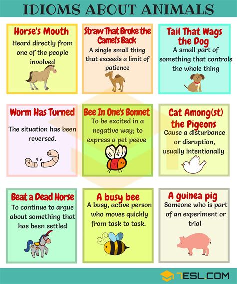 Animal Idioms: 165 Useful Animal Idioms from A-Z • 7ESL