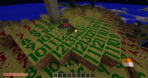 Torch Optimizer Mod 1.16.5/1.14.4 (Torch Placement Indicator) - 9Minecraft.Net