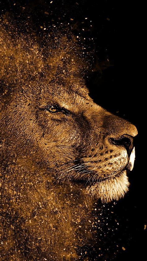 Gold Lion Wallpapers - Top Free Gold Lion Backgrounds - WallpaperAccess