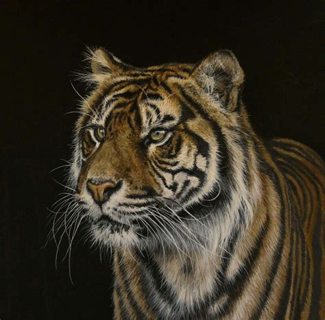 Gina Hawkshaw | Big cats art, Cat art, Artist