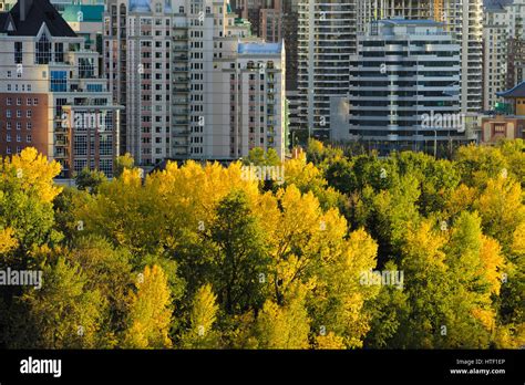 Downtown Calgary skyline, Alberta Stock Photo - Alamy