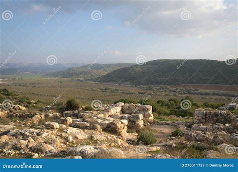 Valley of Elah, Israel stock image. Image of hills, nature - 275011737