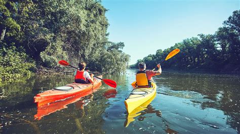 5 Best Experiences when looking for Kayaking Near Me In Palm Beach