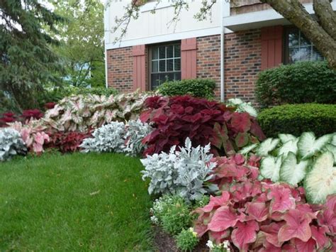 Schattenpflanzen in prachtvollen Farben für einen magischen Garten | Shade plants, Garden ...