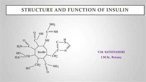 STRUCTURE AND FUNCTION OF INSULIN.pptx