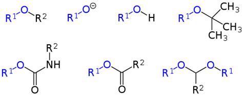 organic chemistry - What functional groups are subsets of the Alkoxy ...