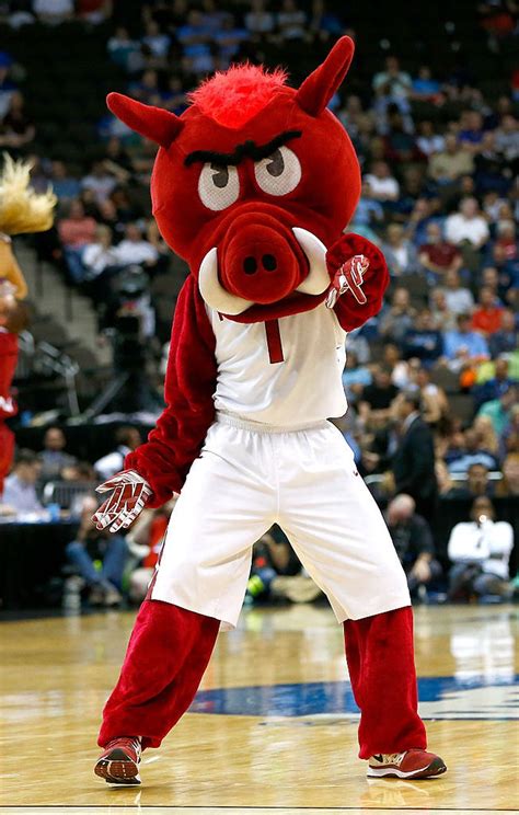 March Madness 2018 mascots, ranked worst to best: Which NCAA tournament ...