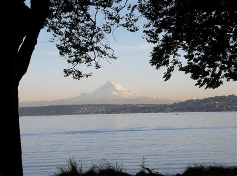 Seward park is one of my favorite parks! It has a great playground for ...