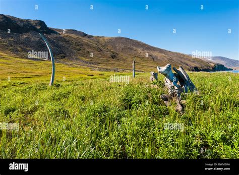 Whale Bone Alley, Ittygran Island, Chukotka, Russia, Eurasia Stock ...