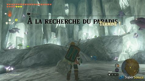 Zelda-TotK-Guide-Walkthrough-Who-Finds-the-Haven-009 | Game of Guides