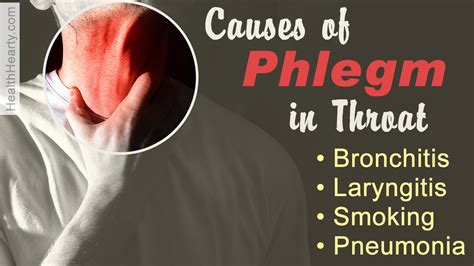 Causes of Phlegm in Throat - Health Hearty