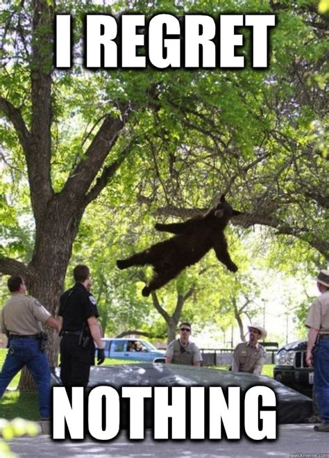 I regret Nothing - i am a falling bear - quickmeme