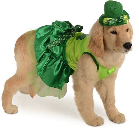 Irish Girl Lucky Dog Pet Costume St. Patricks Day Saint Paddy's SM MD ...