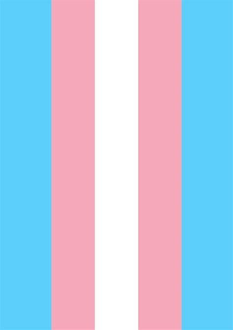 Trans Pride Wallpapers - Top Free Trans Pride Backgrounds - WallpaperAccess