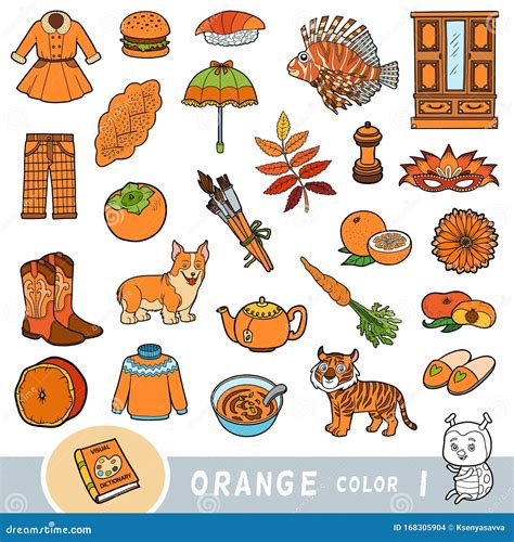 Colorful Set of Orange Color Objects. Visual Dictionary for Children about the Basic Colors ...