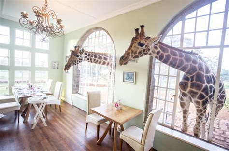 Giraffe Manor Guest House - Nairobi, Kenya (Overview)