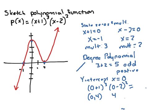 Graph polynomial equation | Math, Precalculus, Nature of Graphs | ShowMe