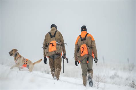 Safety Tips for Quail Hunters - Premier Quail Hunting