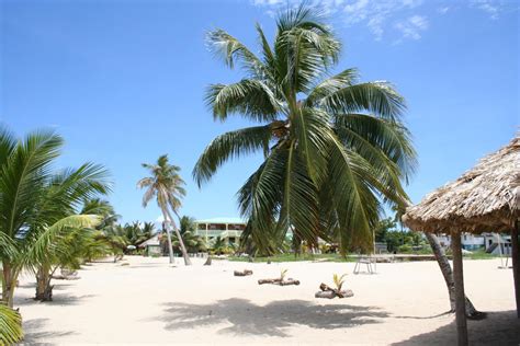 Explore Cuba's Unique And Fascinating Wildlife On The Island Of Cayo Coco