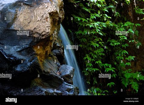 Waterfall in a tropical forest Stock Photo - Alamy